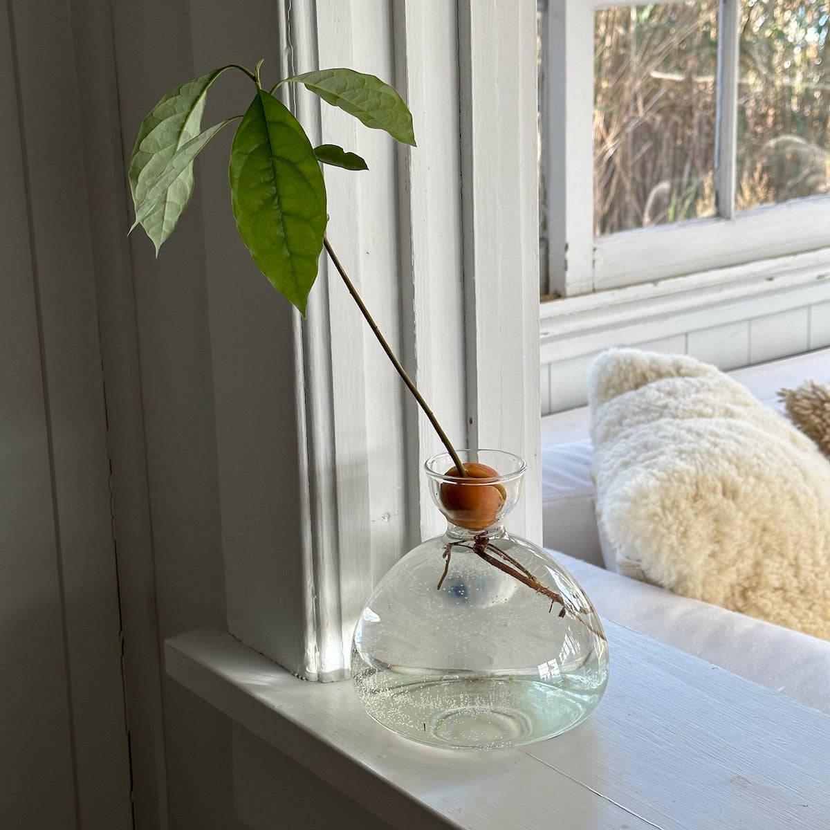 Polished Decorative Vase for Everyday Home Styling - Image 5