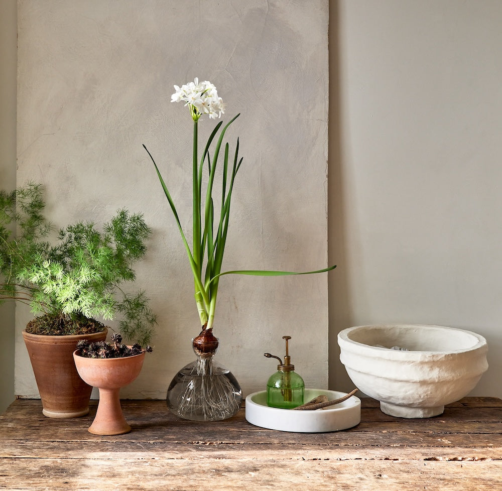 Polished Decorative Vase for Everyday Home Styling - Image 2