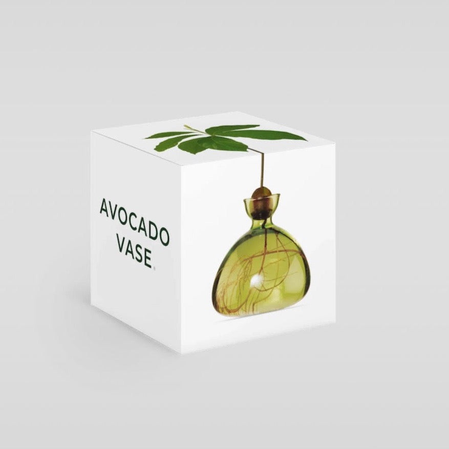 Polished Decorative Vase for Everyday Home Styling - Image 10