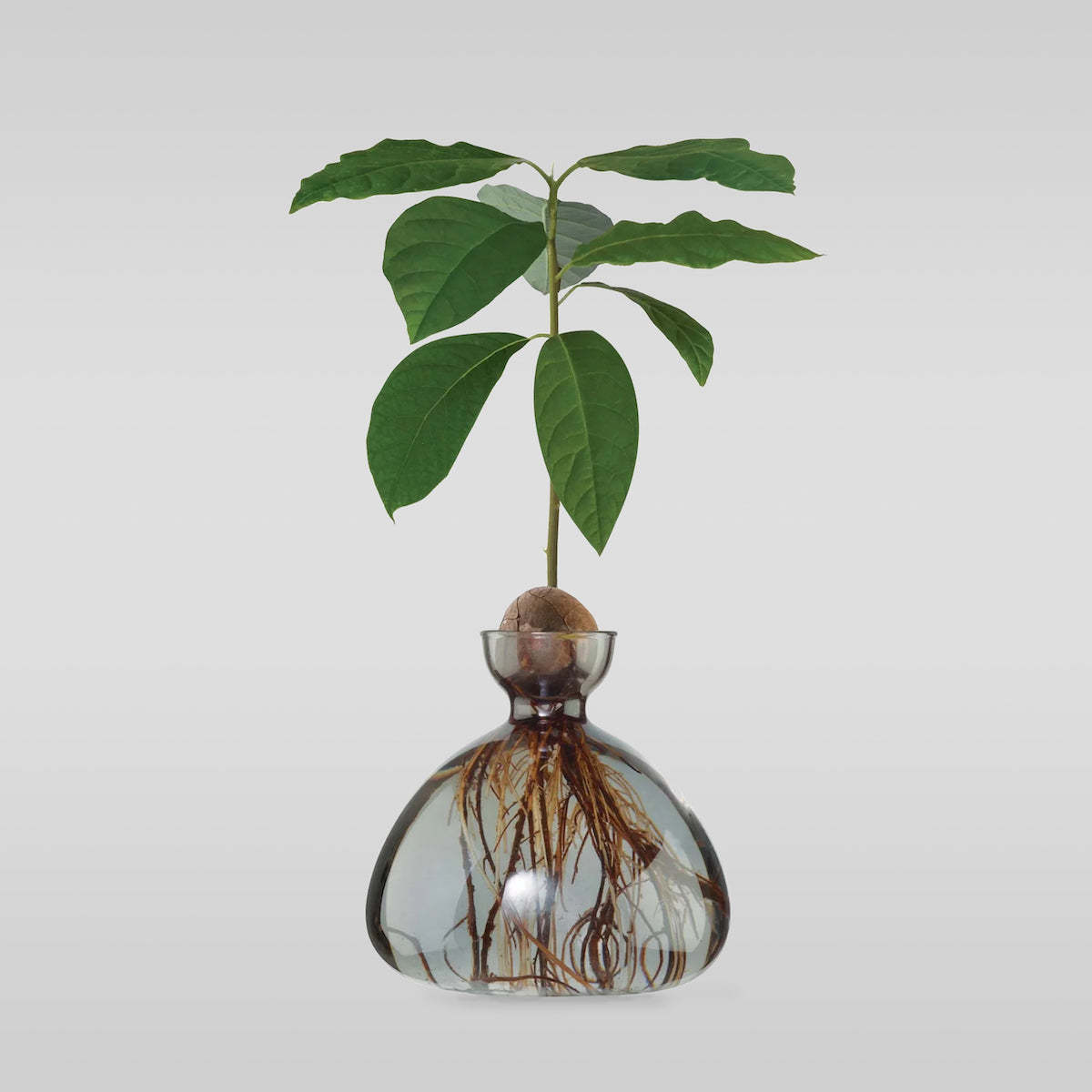 Polished Decorative Vase for Everyday Home Styling - Image 3