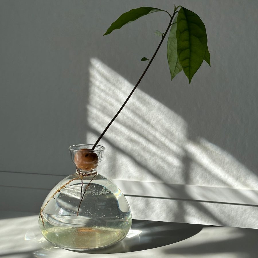 Polished Decorative Vase for Everyday Home Styling