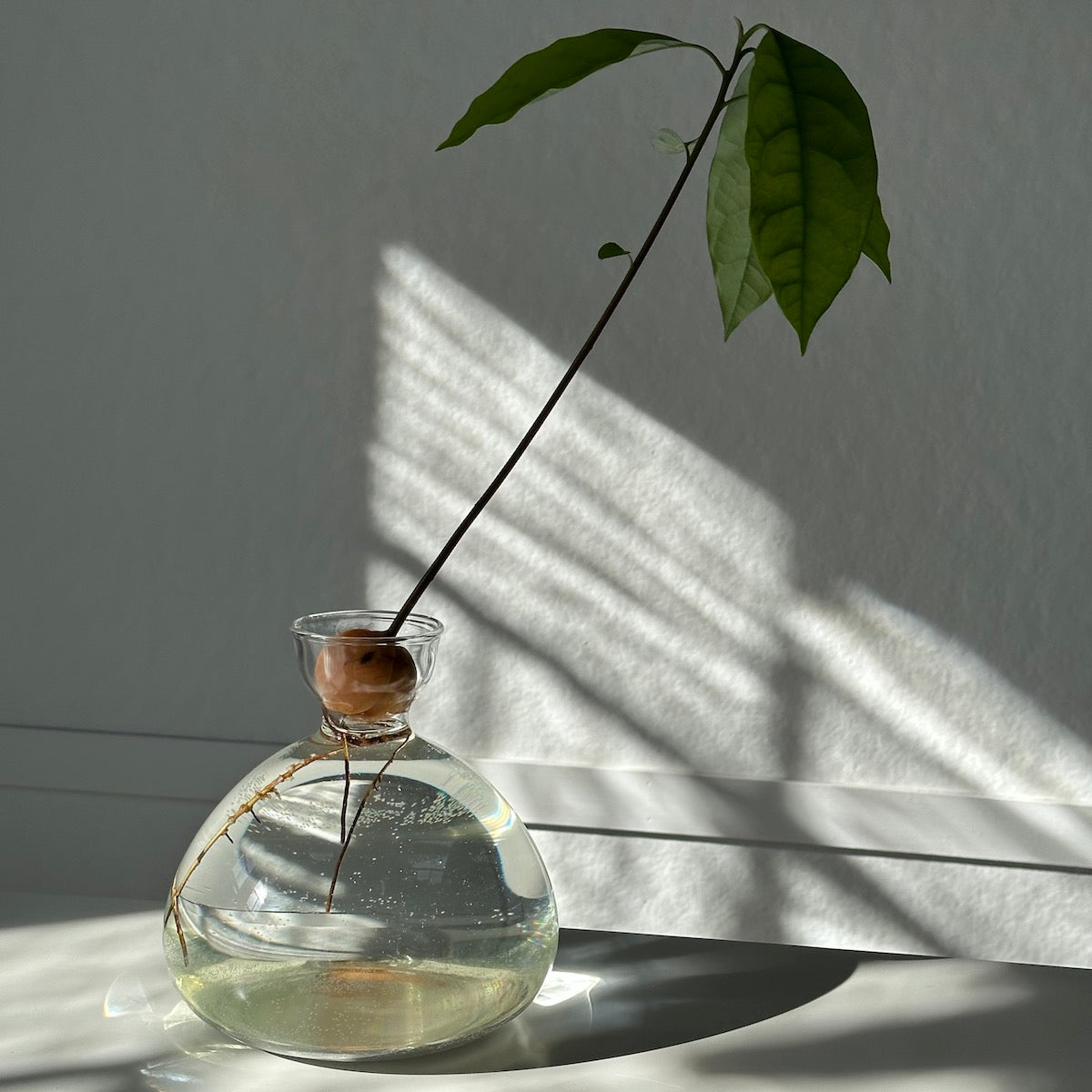 Polished Decorative Vase for Everyday Home Styling