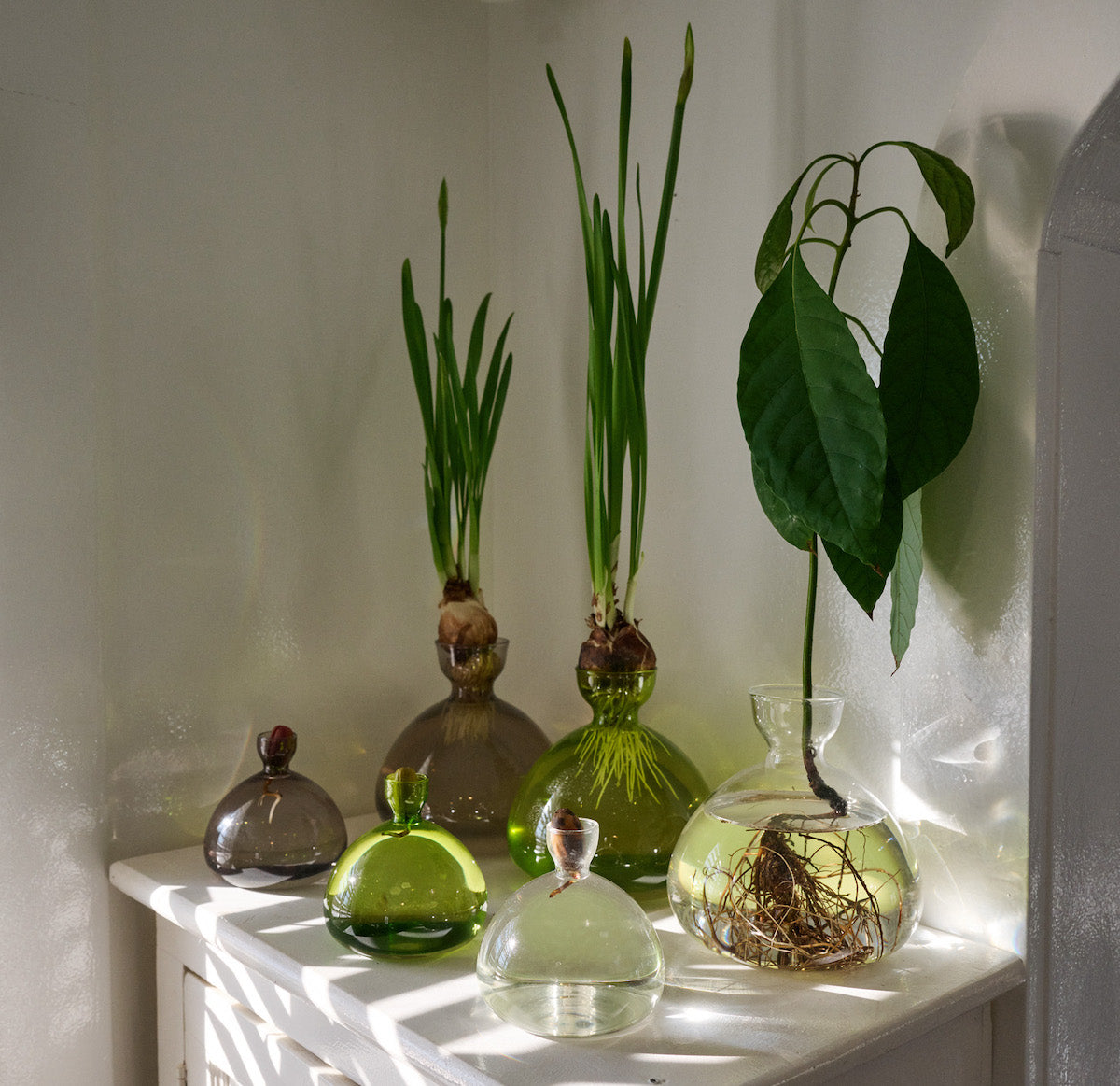 Polished Decorative Vase for Everyday Home Styling - Image 7