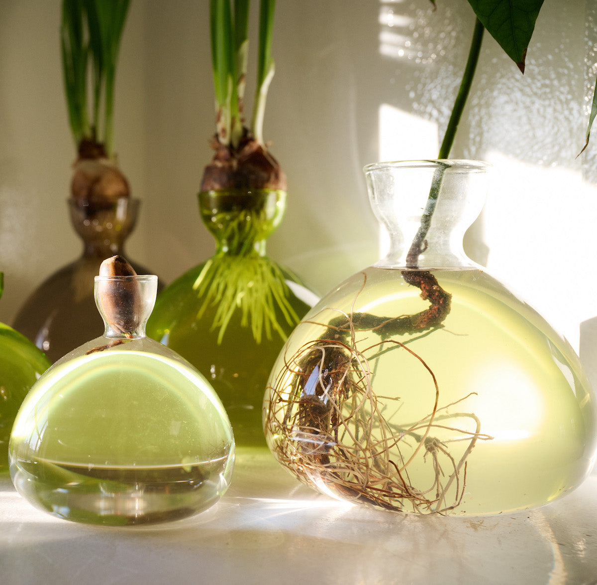 Polished Decorative Vase for Everyday Home Styling - Image 8