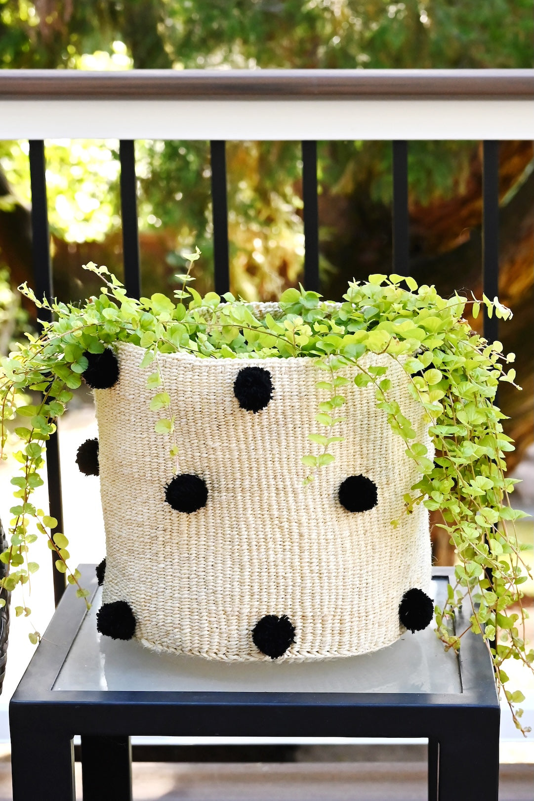 Natural Sisal Basket with Black Pom Poms - Image 2